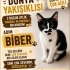 MELEĞİM OLUR MUSUN ? fotoğraf