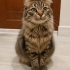 ÇOK ACI ÇEKTİM, SOKAKLARA GERİ DÖNMEK İSTEMİYORUM.. fotoğraf