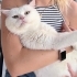 Yakışıklı prens yuva arıyor 🐈🏡 fotoğraf