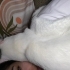 Canım oğluma sıcak yuva arıyorum fotoğraf