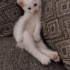 Acil ömürlük yuva fotoğraf