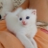 Ailem olur musunuz? fotoğraf