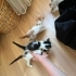 Annesiz yavrulara yuva fotoğraf