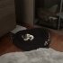 2 aylık çok seveceğiniz oyuncu dişi tekir kedi fotoğraf