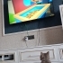 KISIR ERKEK BRİTİSH EV KEDİSİ fotoğraf