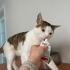 HİÇ SOKAK GÖRMEDİLER AMA SOKAĞA GİDİYORLAR fotoğraf