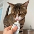 HİÇ SOKAK GÖRMEDİLER AMA SOKAĞA GİDİYORLAR fotoğraf