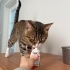 HİÇ SOKAK GÖRMEDİLER AMA SOKAĞA GİDİYORLAR fotoğraf