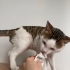 HİÇ SOKAK GÖRMEDİLER AMA SOKAĞA GİDİYORLAR fotoğraf