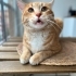 Sarı bal yeni ailesini arıyor fotoğraf