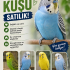 MUHABBET KUŞU VE BÜLBÜLLER fotoğraf