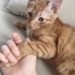 Sevimli yavrumuza yuva arıyoruz fotoğraf