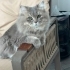 Oğlumuz Leo ya ömürlük yuva fotoğraf