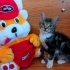 Minik şekerleme ailesini bekliyor fotoğraf