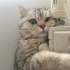 2 yaşında güzel kızım fotoğraf