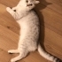 2 yaşında güzel kızım fotoğraf