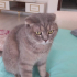 ERKEK KISIR ACİL ÖMÜRLÜK YUVA fotoğraf