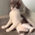Muğla Bodrum depoda yaşayan minik fotoğraf
