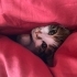 Sevilmeyi seven bir dost fotoğraf