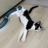 3 aylık Pamuk kıza yuva fotoğraf