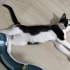 3 aylık Pamuk kıza yuva fotoğraf