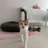 minik yavrularımız yeni evlerini arıyor fotoğraf