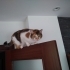 Sakin ve cana yakın fotoğraf