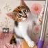 Acil yuva aranıyor fotoğraf