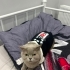 British oğlumuza ömürlük yuva fotoğraf