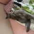 Geceye ömürlük yuva arıyorum fotoğraf