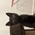 Minik Acil Yuva Arıyor fotoğraf