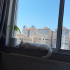 geçişi yuvasında sağlıklı akıllı tertemiz fotoğraf