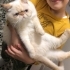 Oldukça sakin tüm aşıları tam bebeğimiz oldugu için vermek zorunda kaldık fotoğraf