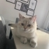 Sevgili Oğlumuzu Sahiplendirmek İstiyoruz fotoğraf