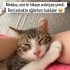 Acil yuva arıyoruz fotoğraf