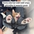 Acil yuva arıyoruz fotoğraf