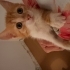Lilith aile istiyor fotoğraf