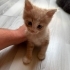 Hüsnümüze Yuva Arıyoruz fotoğraf