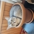 Akıllı Oğlum Boncuk fotoğraf