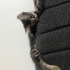 Küçük Bubu’ya yuva arıyorum fotoğraf