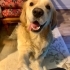 Dost canlısı Tarçın fotoğraf