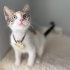 Mavi gözlü miniğimiz fotoğraf
