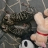 hareketli sıcağı ve uykuyu seven cok istahli olmayan bi bebek fotoğraf