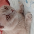 Yakışıklı leo size gelsin mi🙏 fotoğraf