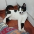 TEMAS BAĞIMLISI HARİKA BİR CAN YOLDAŞI: NEFES 🐾 fotoğraf