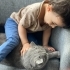 Kısırlaştırılmış akıllı kedi fotoğraf
