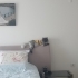 Aşıları tam cins kedi bütün eğitimleri tam fotoğraf