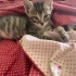 MİNİK KIZIMIZA YUVA ARIYORUZ fotoğraf