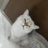 Sakin, uysal kızımıza ömürlük yuva fotoğraf