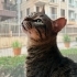 Bir ayağı ampute güzel oğlumuza kalıcı yuva fotoğraf